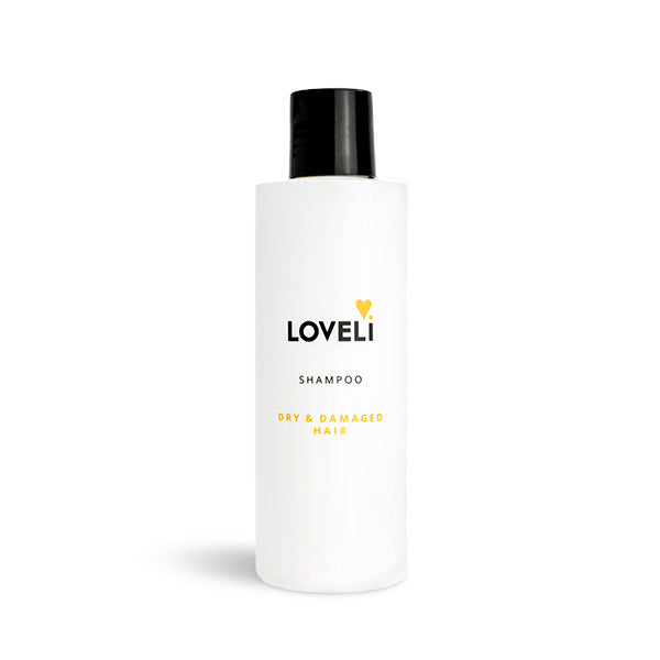Shampoo Dry & Damaged Hair - sQincare shop