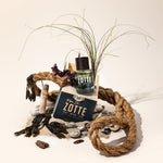 Van De Zotte WAD Eau de Parfum 50 ml in sfeervolle setting